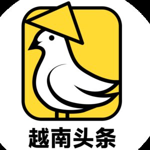 越南头条新闻的头像